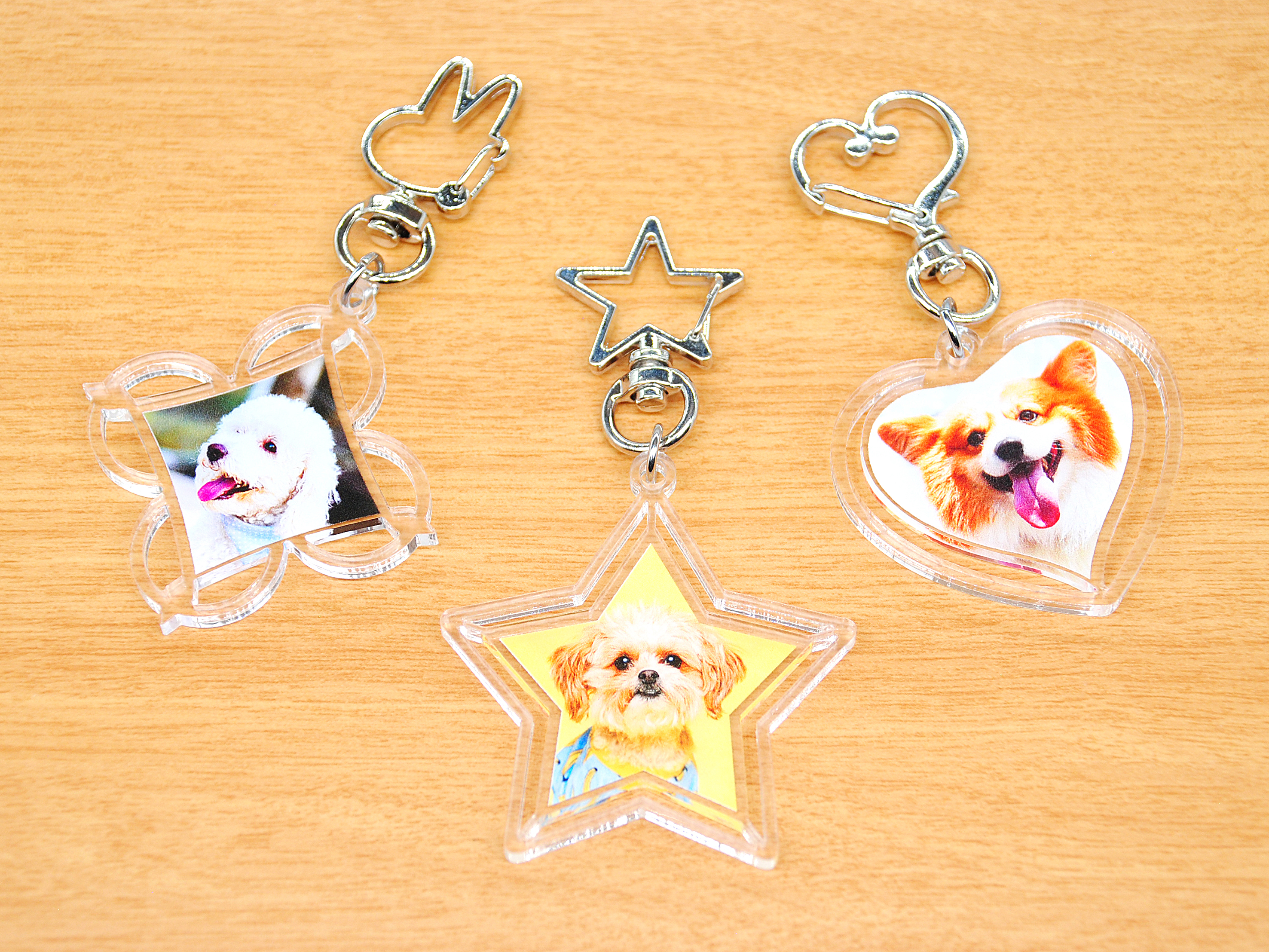わんちゃんアクリルキーホルダーバラエティータイプ