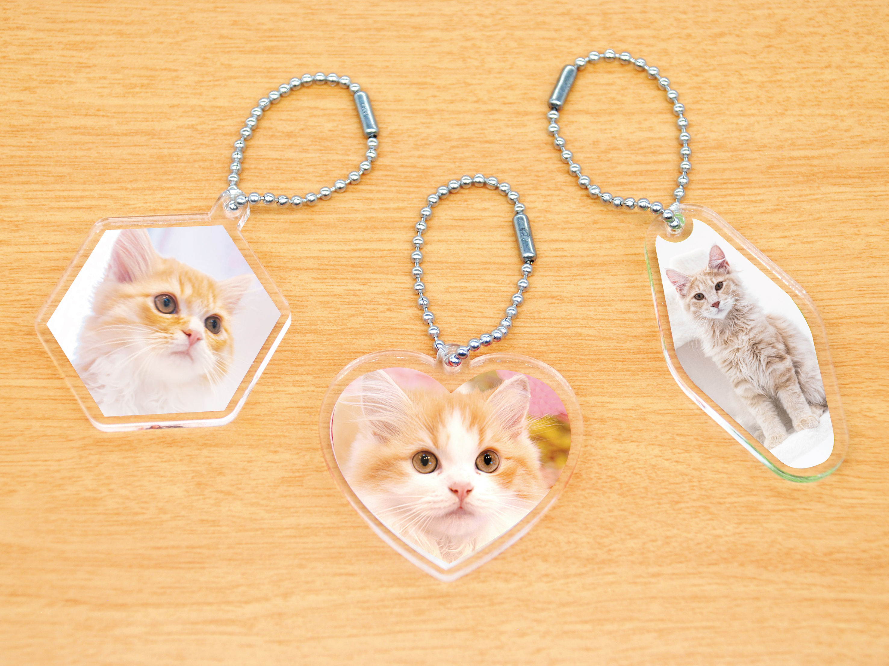 ねこちゃんアクリルキーホルダーバラエティータイプ