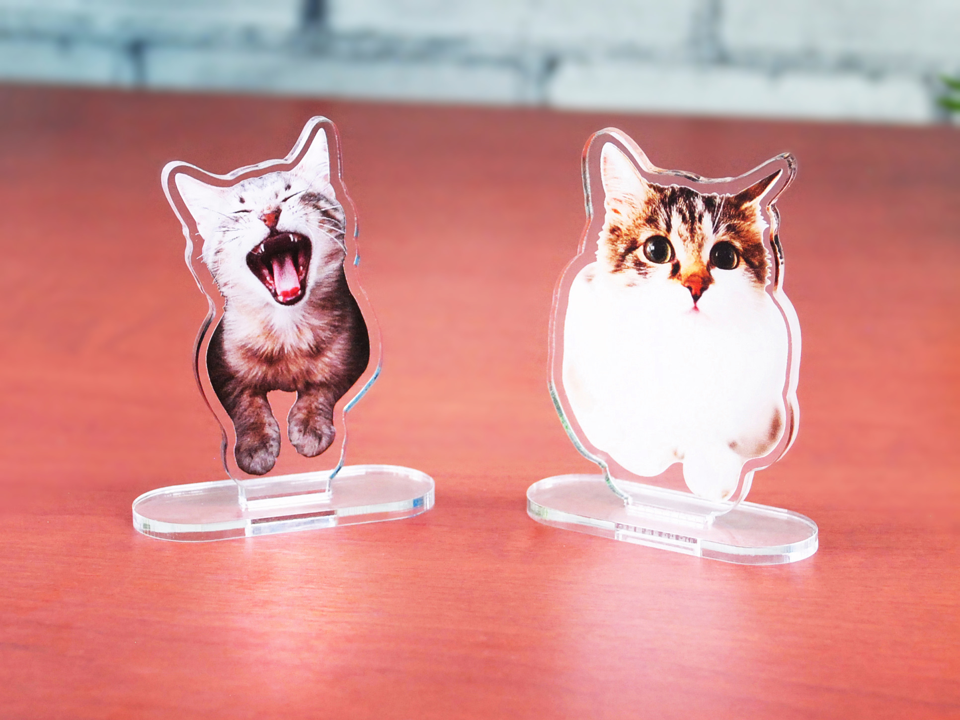 ねこちゃんアクリルスタンドSSサイズ
